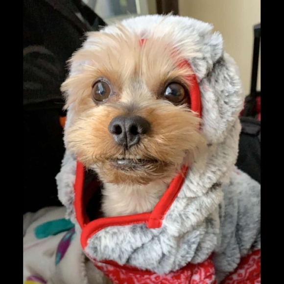 Welcome to my closet!๐ - Picture 3 of 5